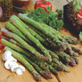 Jersey Knight, Asparagus Roots - 10 Crowns thumbnail number null